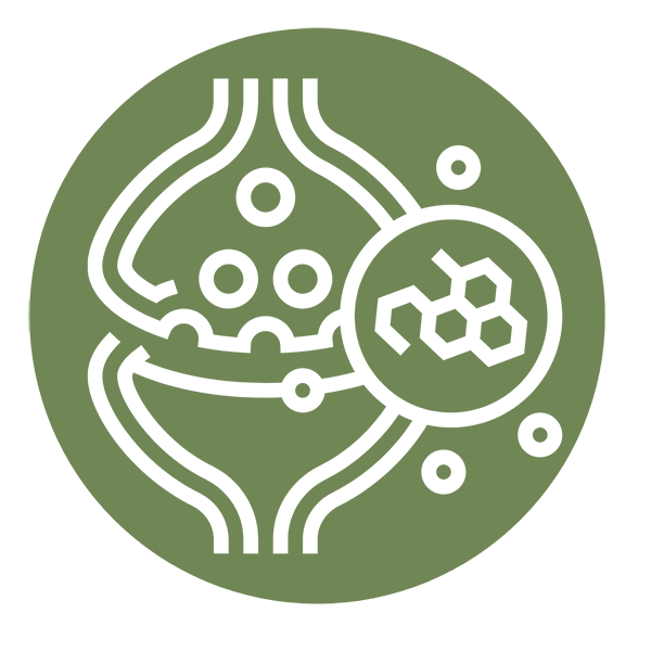 MIP-Metabolish and Mitochondrial Function