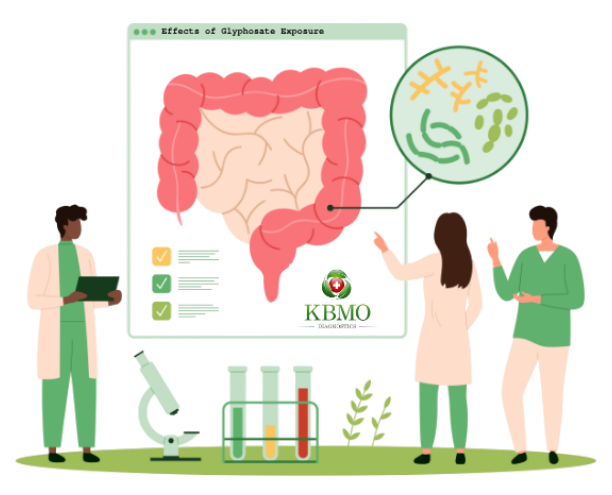 effects of glyphosate exposure